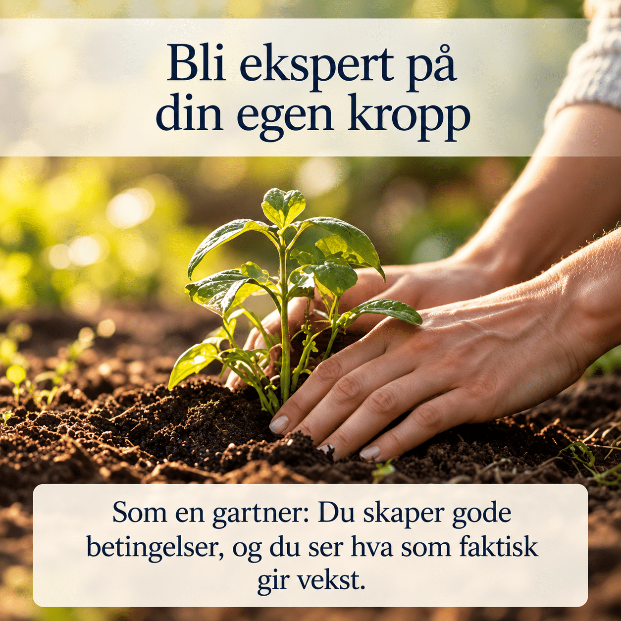 Nærbilde av to hender som forsiktig planter en grønn, frisk spire i mørk, næringsrik jord i en hage. Tekst på bildet: Bli ekspert på din egen kropp - Som en gartner